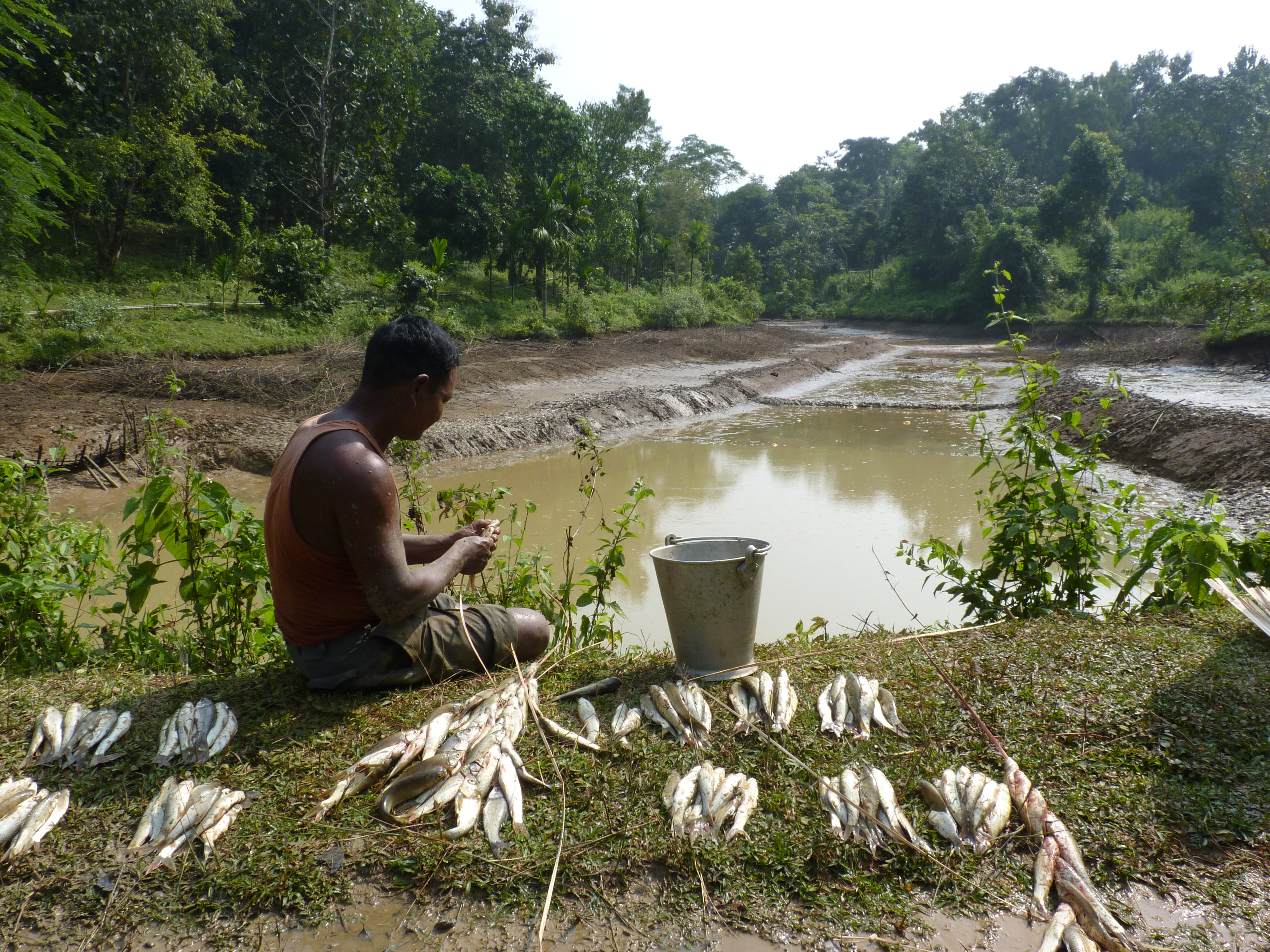 Dried up pond after harvest. (Source: East Garo Hills District Administration)