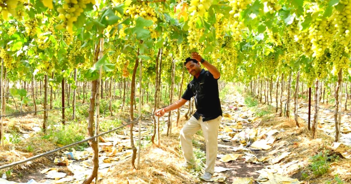 Nashik Grape Farmer Saves 2 Crore Litres of Water Despite Droughts. Here’s How!