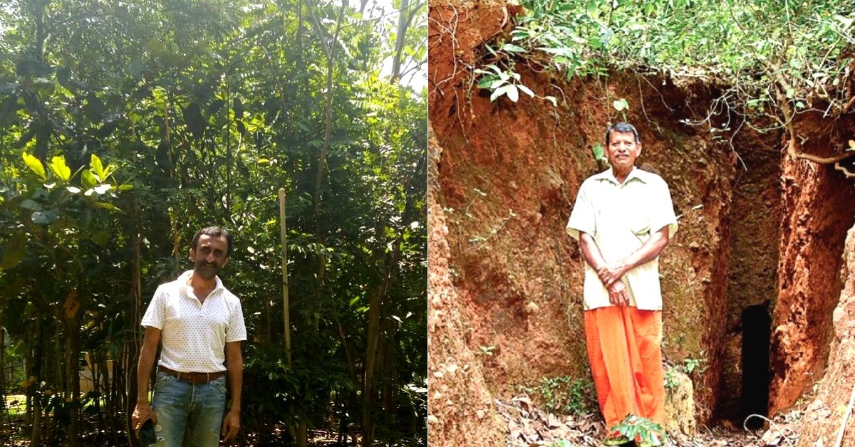 4.5 Million Trees, 4 Years: How People From Across India are Greening the Planet