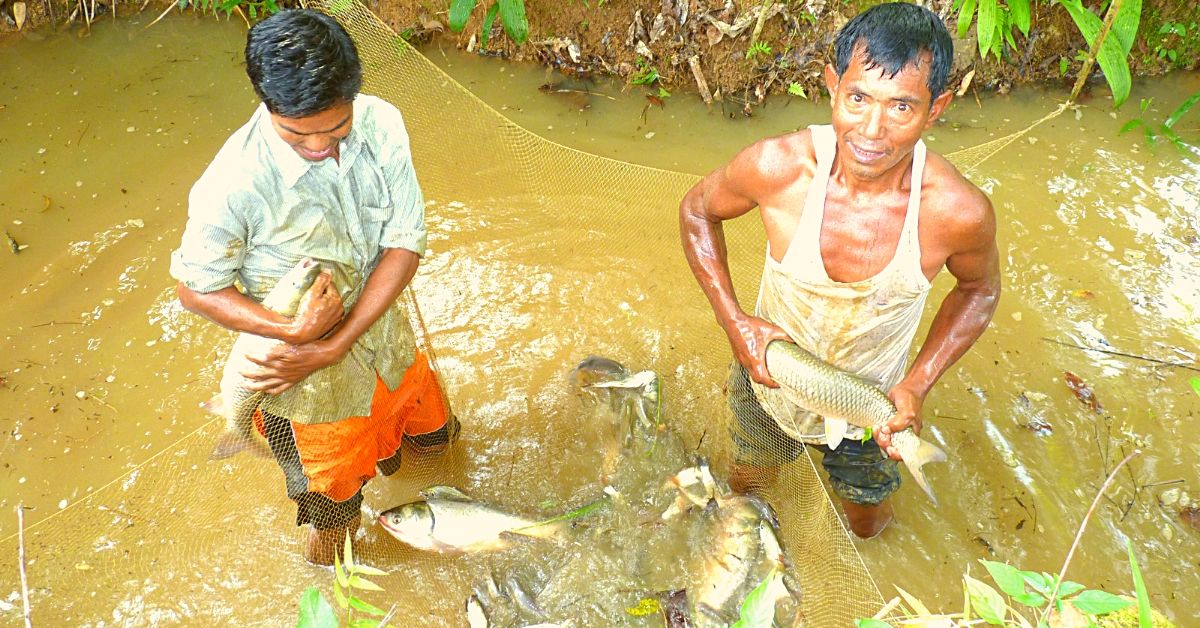 Meghalaya Govt Peon Builds Fish Ponds With His Hands, Sells 800kg of Fish/Year