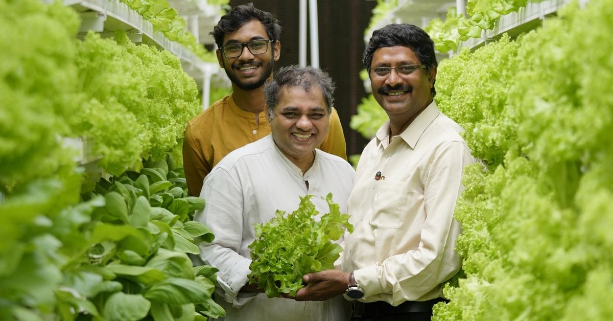 Soil-less & Vertical, This Style of Farming Will Reduce Water Usage By 95%!