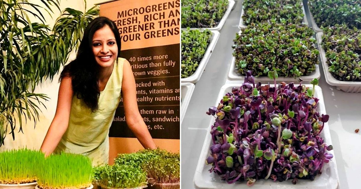 Delhi, Learn to Grow Microgreens in Just 3 Hours from a Mom Who Sells 500 Pots/Month