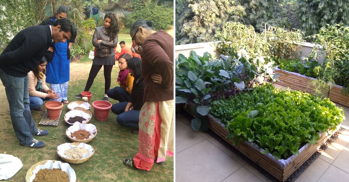 Delhi, Techie-Turned-Farmer Will Get You Growing Air-Cleaning Plants in Just 2 Hrs