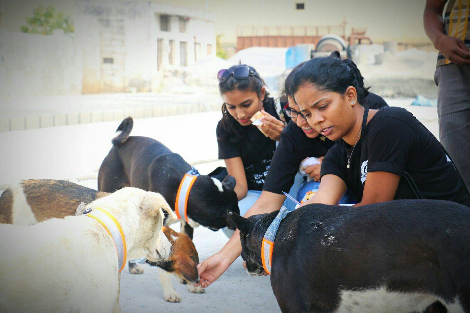 Pune Man's Innovation for Stray Dogs Impressed Ratan Tata!