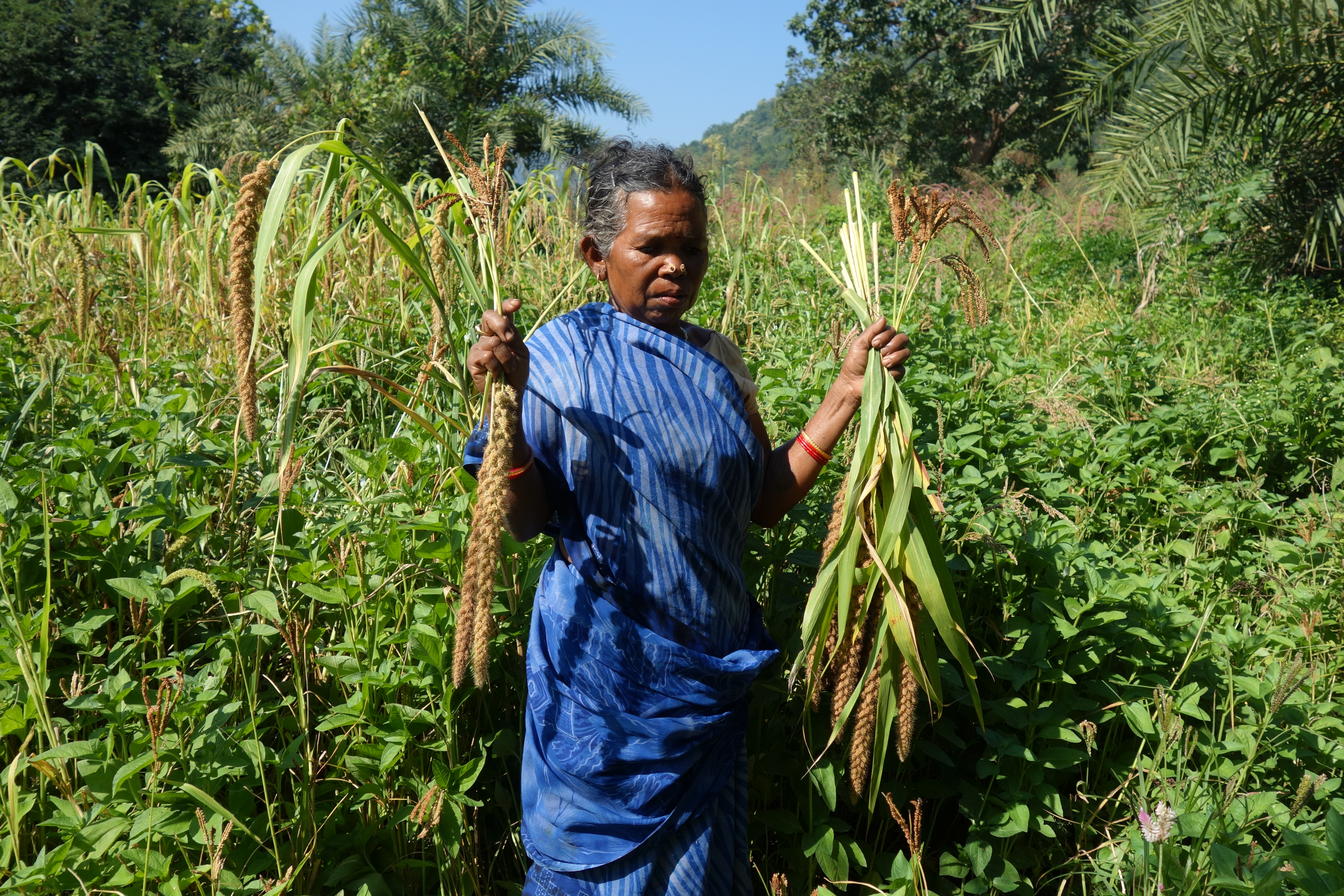 Kondh Tribes