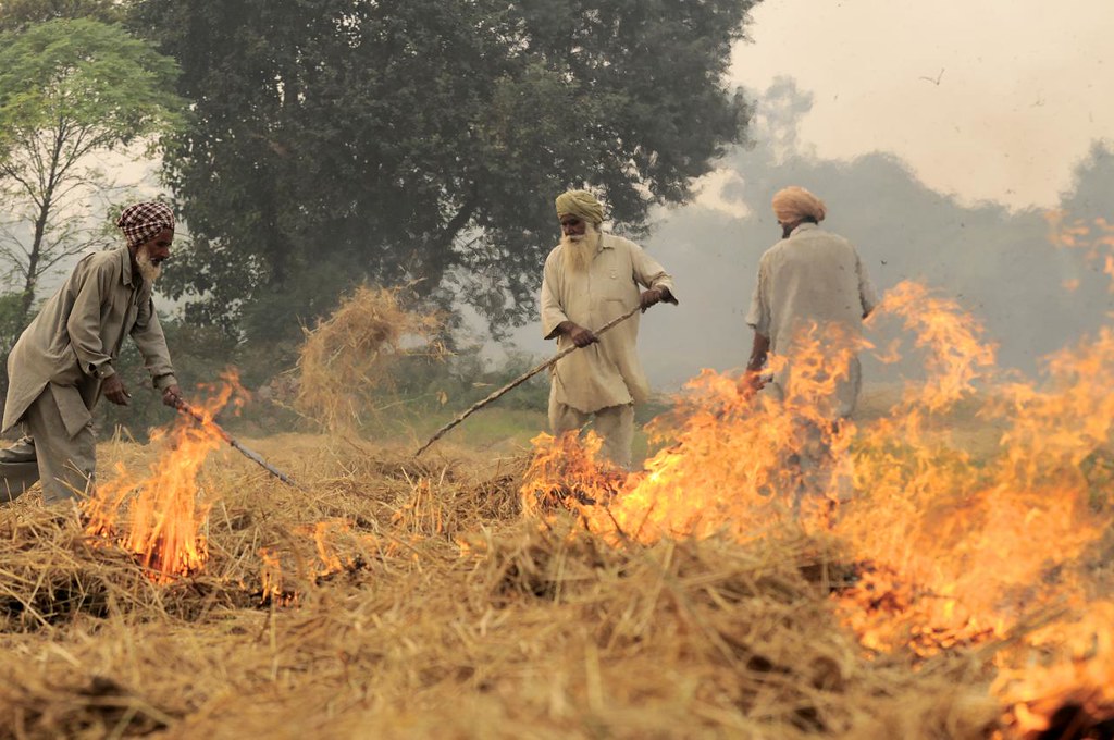 Crop burning (Source: Flickr/CIAT)