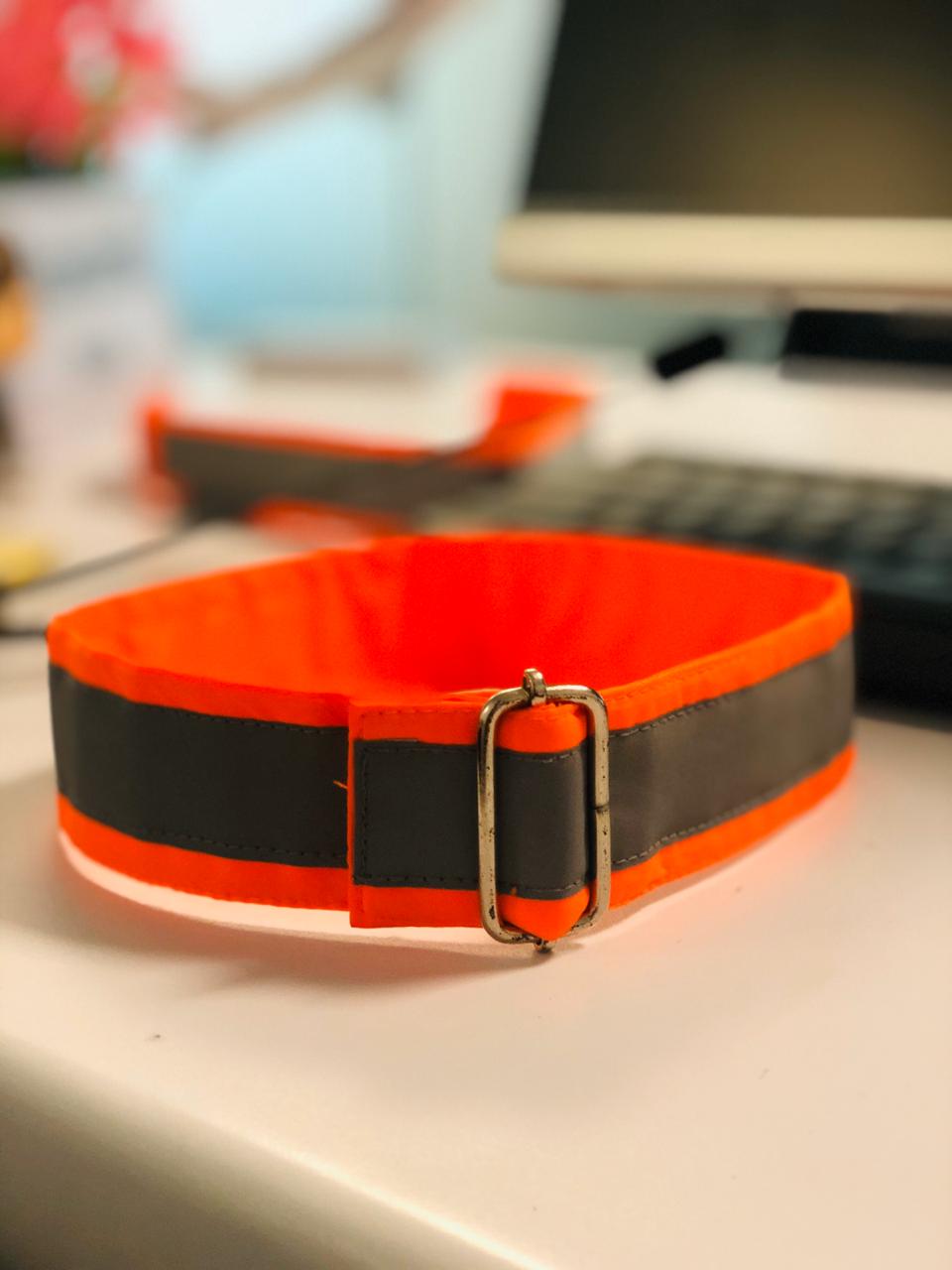 The new collar that Motopaws will launch on December 1. (Source: Shantanu Naidu)