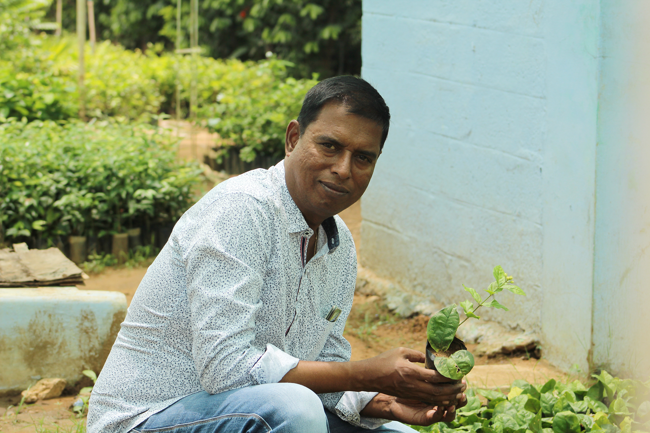 organic-farming-leaf-tissue-culture-tamil-nadu-low-cost-innovation