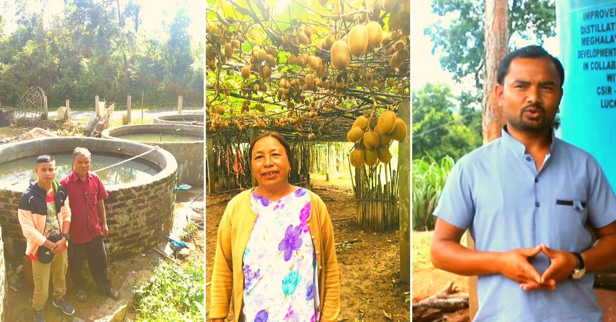 How to Farm Fish? Grow Strawberries? Meghalaya’s YouTube Farmers Will Teach You!