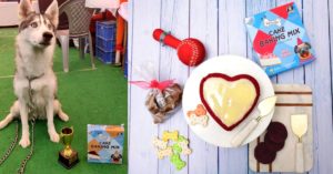 Need a Perfect Pet Treat? Check Out This Startup's Healthy & Tasty Canine Cakes
