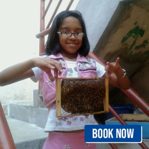 bengaluru bee keeping