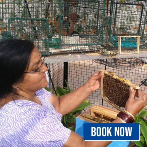 bengaluru bee keeping