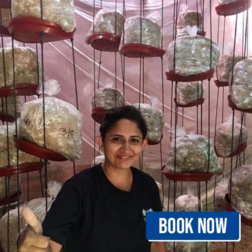 delhi mushroom workshop