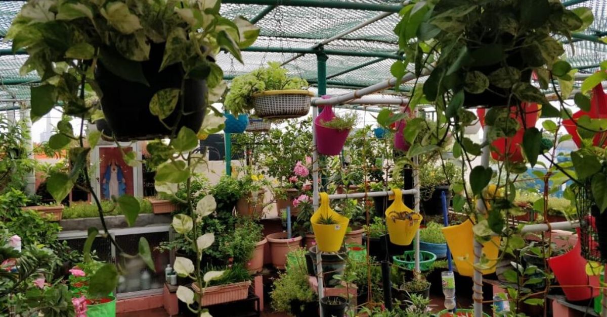 Organic Food & Rainwater Harvesting: Chennai Woman’s Zero-Waste House is Goals