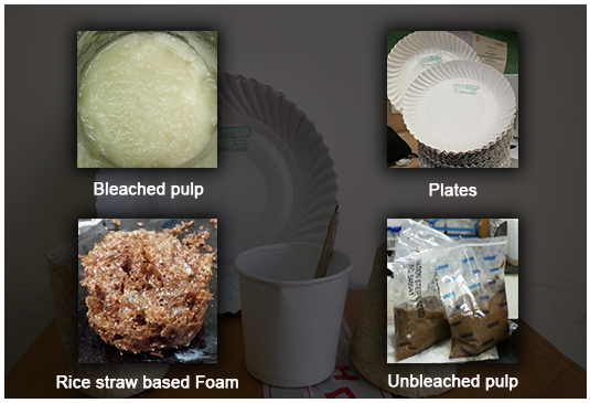 Leftover paddy straw is turned into biodegradable cups, plates, and jars.