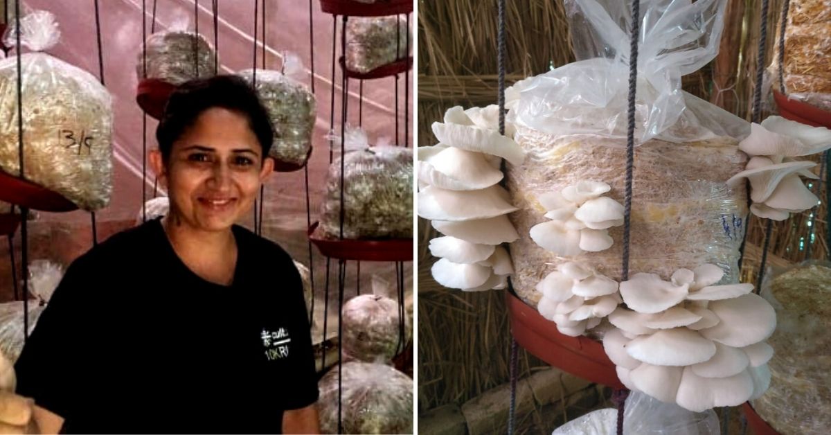 Delhi, This Lady Earns Rs 1 Lakh/Month Growing Mushrooms, and Will Teach You!