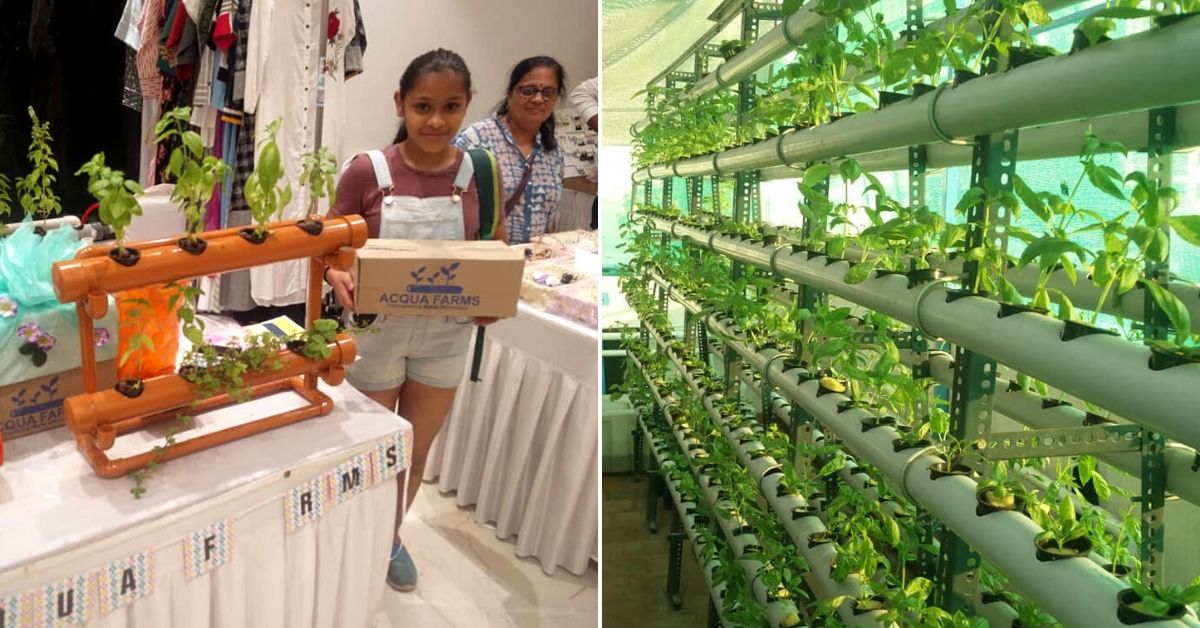 Chennai, Learn Hydroponics from Techie-Turned-Farmer Who Grows 6000 Plants!