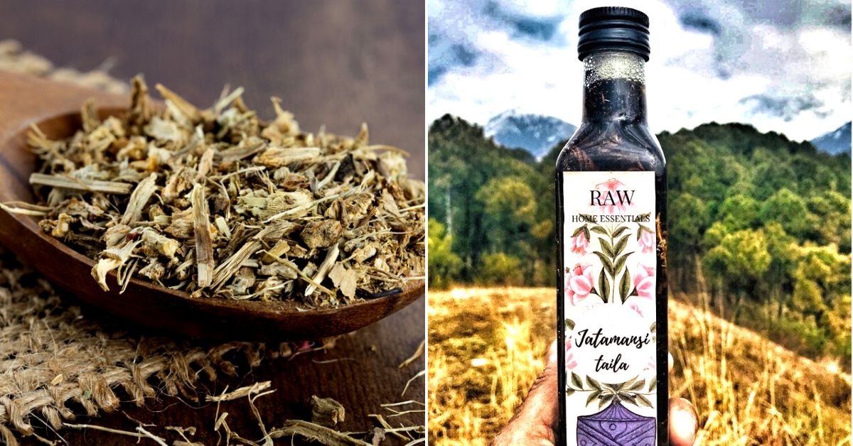 Jatamansi: The Secrets of This Himalayan Herb Will Make Your Hair & Skin Glow!