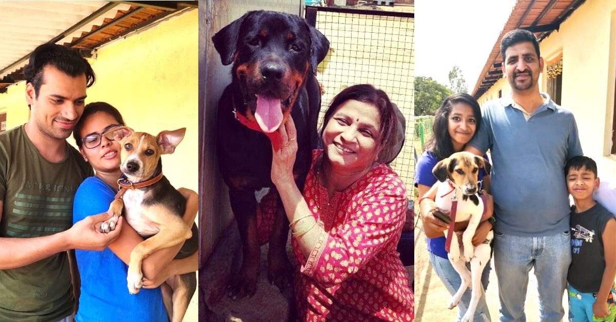 How to Adopt a Dog in India: 6 Steps to Follow