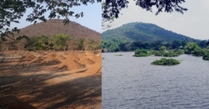 Water & Birds Return to 18-Acre Dried Chennai Lake, Thanks to this IFS Officer!