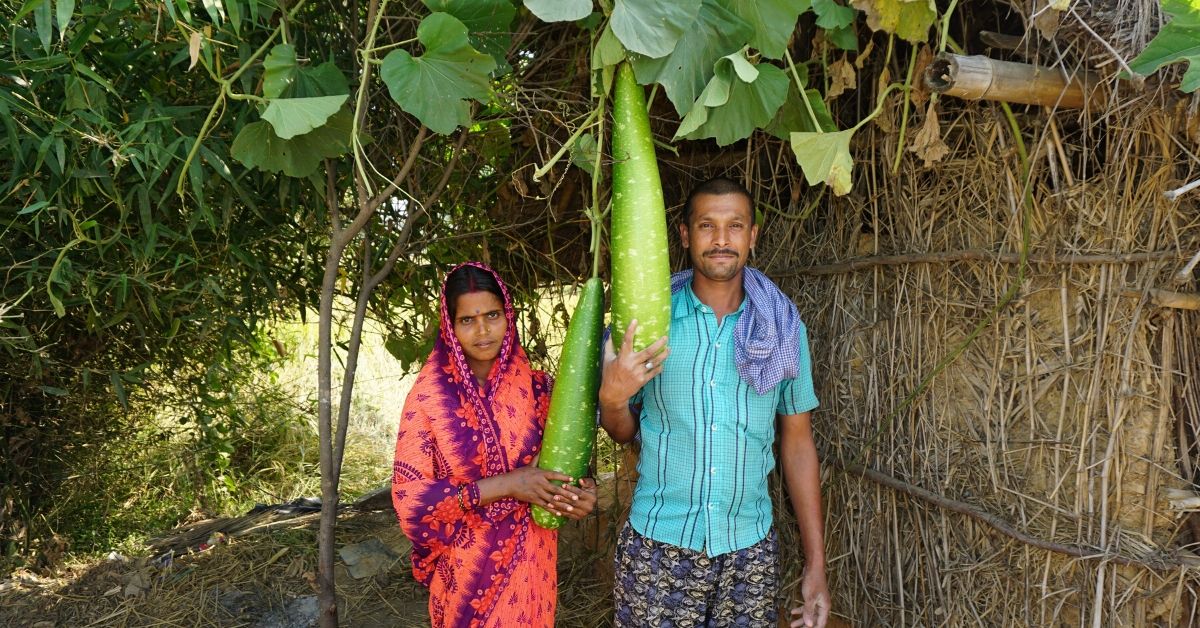 How a Remote Bihar Village Ushered in an Organic Farming Revolution in Just 4 Yrs