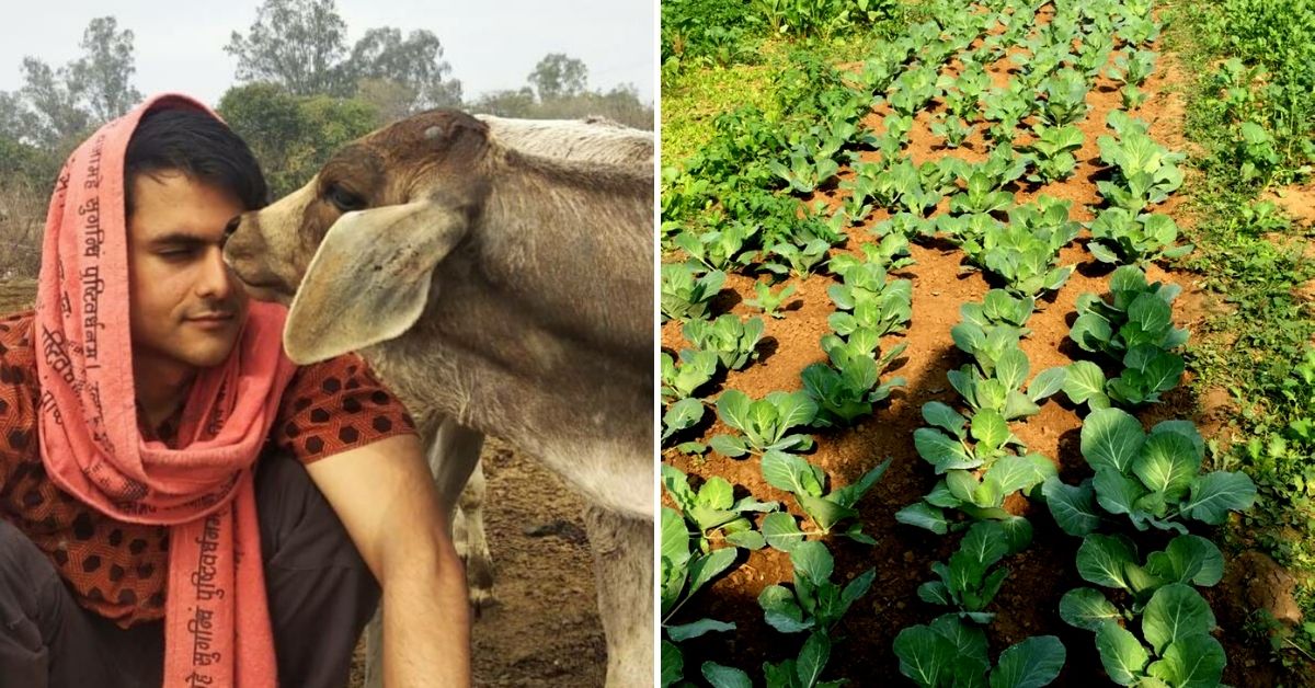 Have Terrace, Can Farm: Delhi, This 27-YO Will Teach You Natural Farming in 6 Hrs