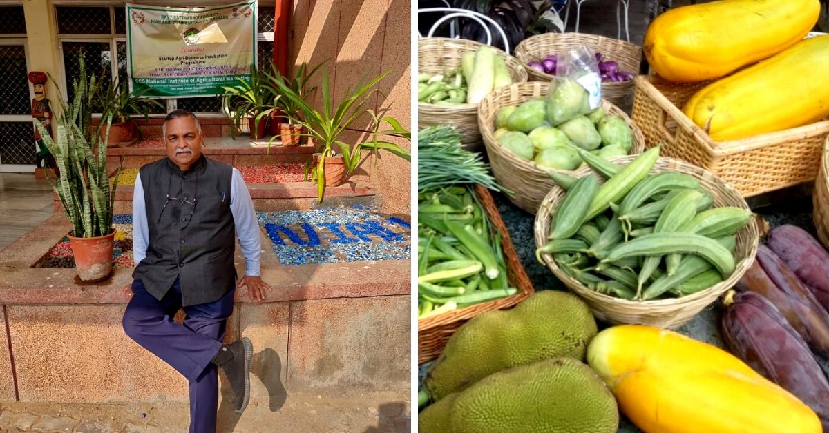 Puducherry, Learn Organic Farming From a Retired Major Who Grows 18 Tonnes/Year
