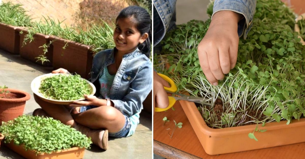 mumbai microgreens workshop