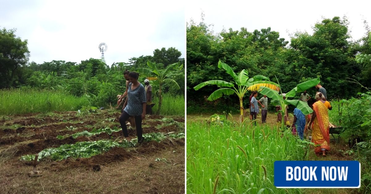 auroville organic farming workshop