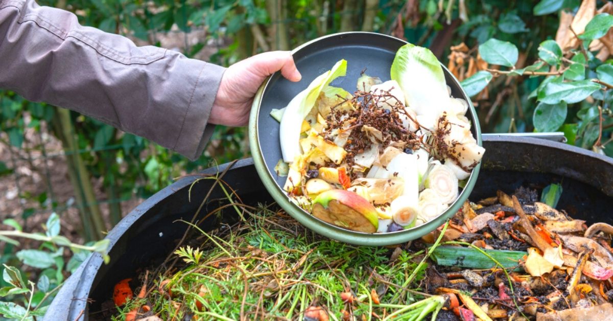 How To Make Compost at Home