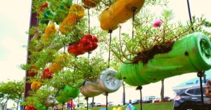 How to Reuse Plastic Bottles At Home: 10 Innovative Ideas