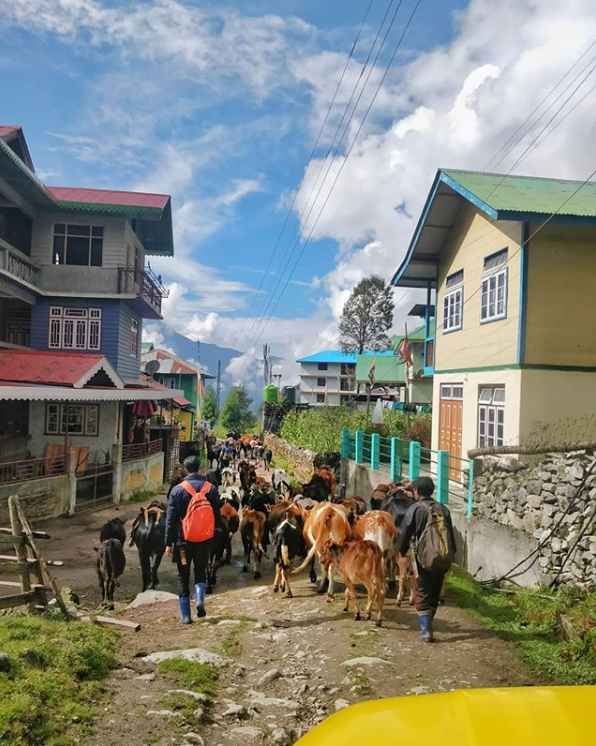 Streets of Lachung (Source: Instagram/m_i.y.e.r)