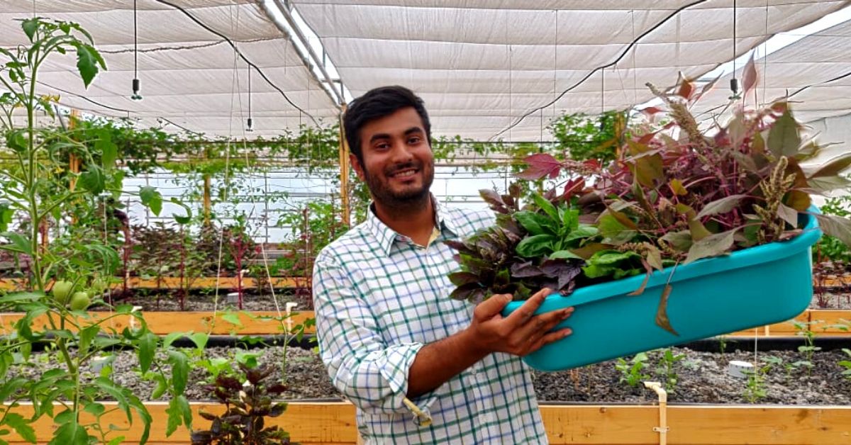 eat neat aquaponics bengaluru