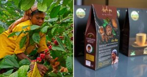 Drink Araku Coffee, the Tribal-Grown Brew That Has Fans in Paris Too!