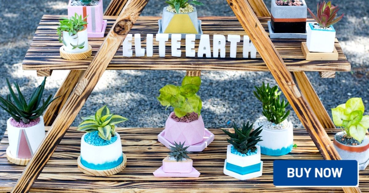 indore elite earth planters