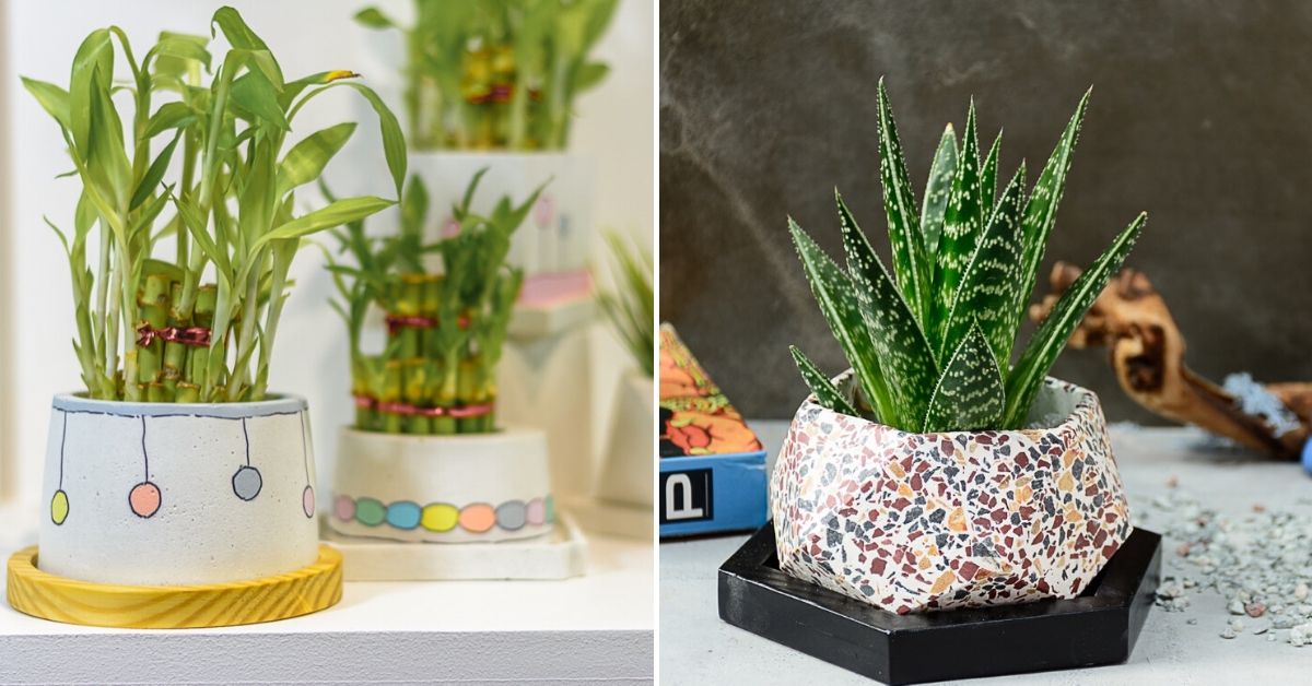 These Reclaimed Concrete Planters Are Exactly the Cool Your Plants Need!