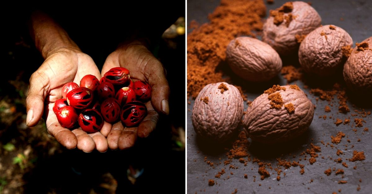 nutmeg health benefits