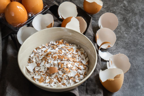 eggshell powder benefits