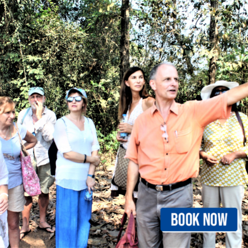 goa heritage walk