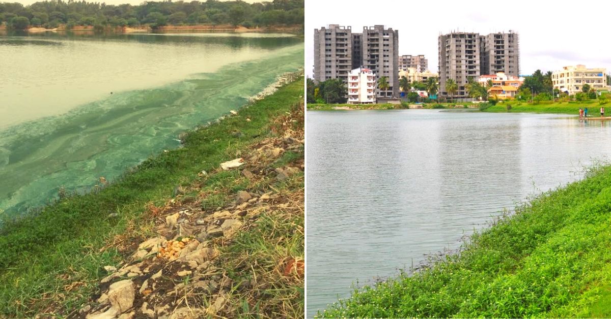 Woman Scientist Revives 100-Acre Bengaluru Lake, Now Teaches Others How to Do It