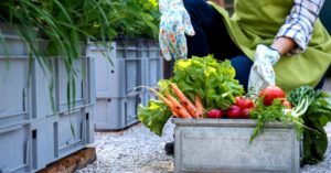 Go On a 'Low Carbon' Diet: 4 Easy Ways to Reduce Your Food's Carbon Footprint