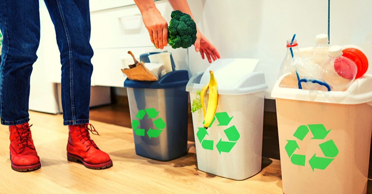 How to Segregate Waste At Home & Office: 4 Things to Know