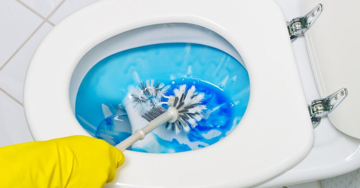 5 Harmful Chemicals in Your Toilet Cleaner That You Must Be Very Afraid Of