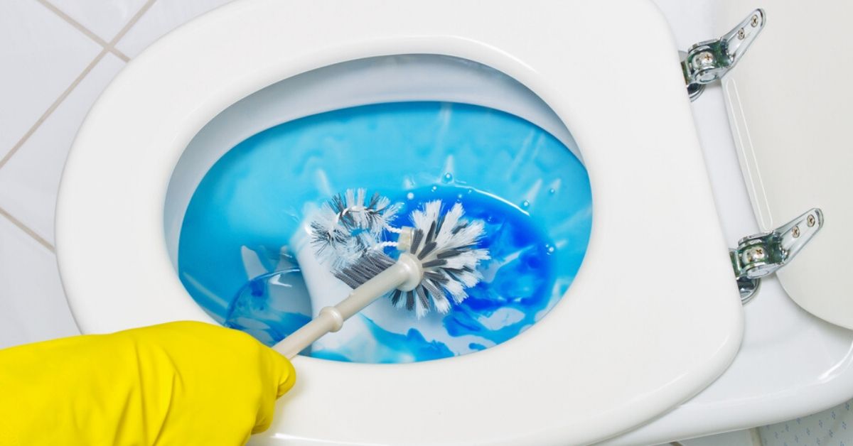 5 Harmful Chemicals in Your Toilet Cleaners That You Must Be Afraid Of