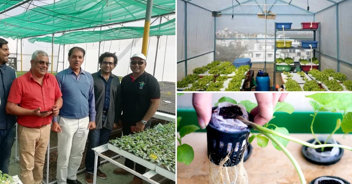 CV Prakash Hydroponics