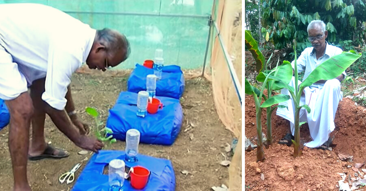 Kerala Farmer Invents New & Improved Grow Bag That Waters Itself! Here’s How