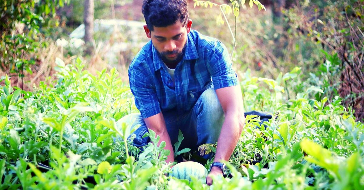 Goa engineer organic farming yellow watermelon profit innovative India jov30