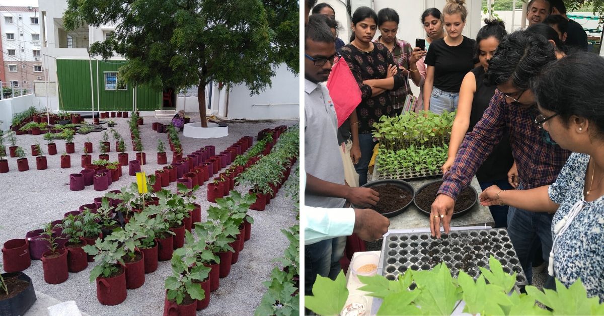 Hyderabad! Learn How To Grow Your Own Organic Vegetables in Your Backyard