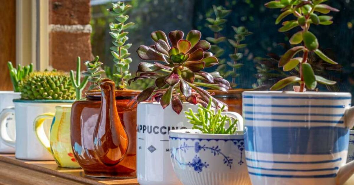 Revamping Your Home? Go Green With These 10 Sustainable Furnishing Ideas
