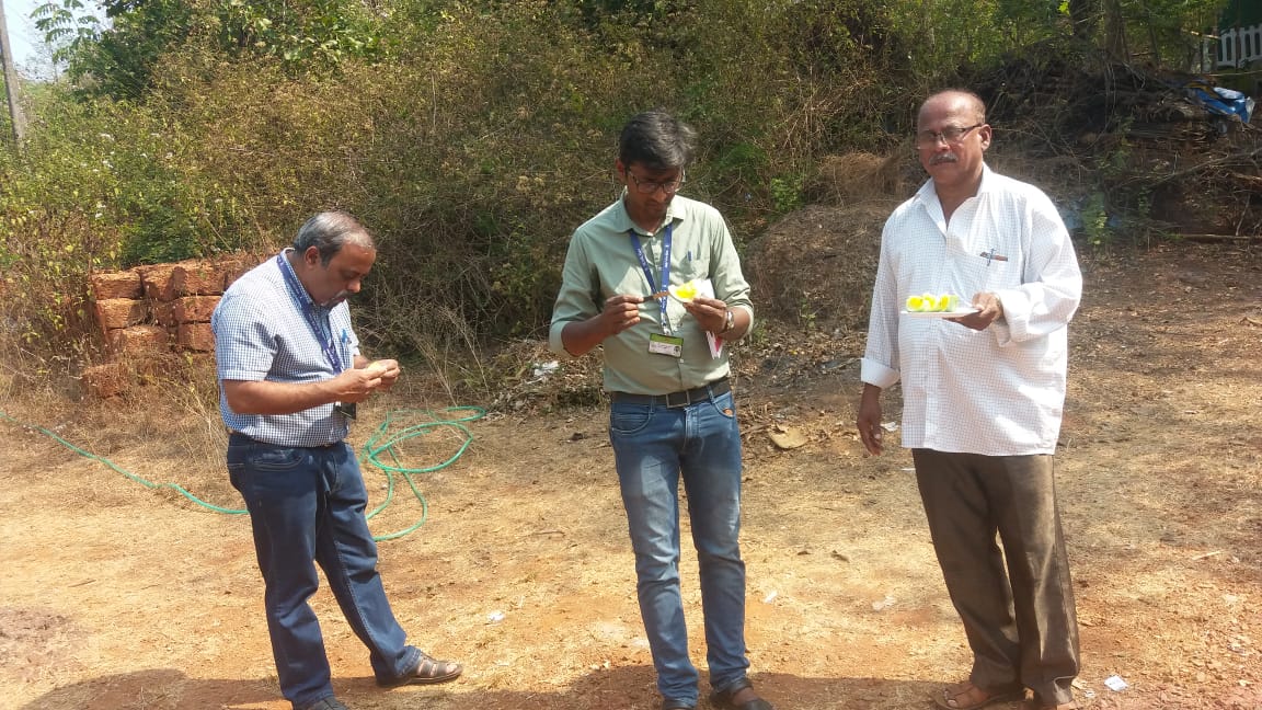 Goa engineer organic farming yellow watermelon profit innovative India jov30